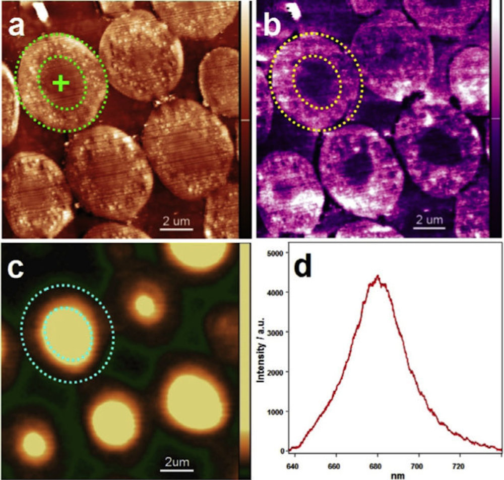 Một ví dụ về dữ liệu phân tích nano thu được nhờ phương pháp kết hợp sao chụp bằng đầu dò quét 3D nano và kính hiển vi quang học